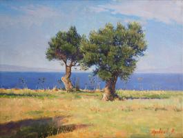 19. Оливы у моря.jpg